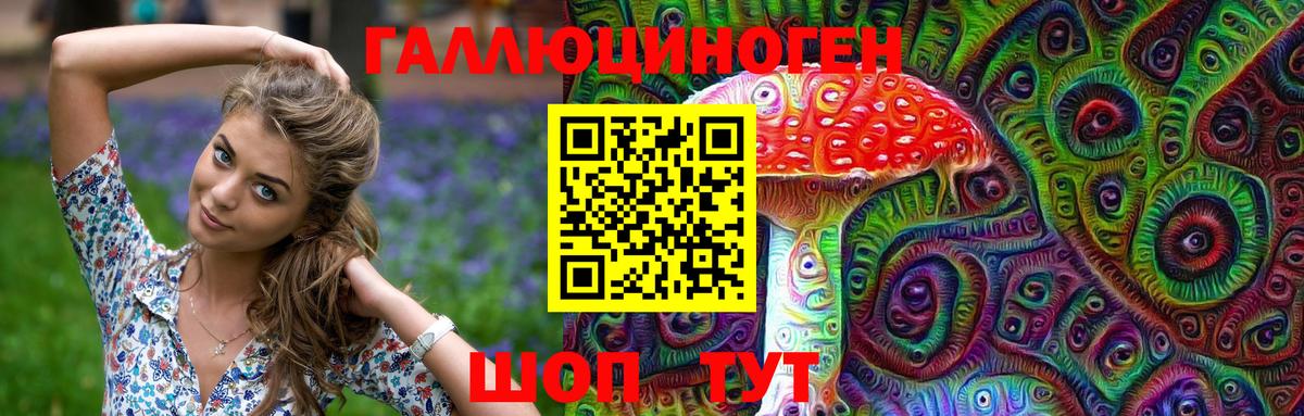 Кушва  Псилоцибиновые грибы Psilocybine cubensis  Вход с VPN 